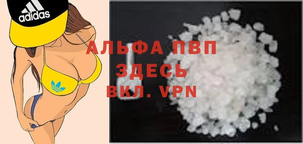гашик Куйбышев