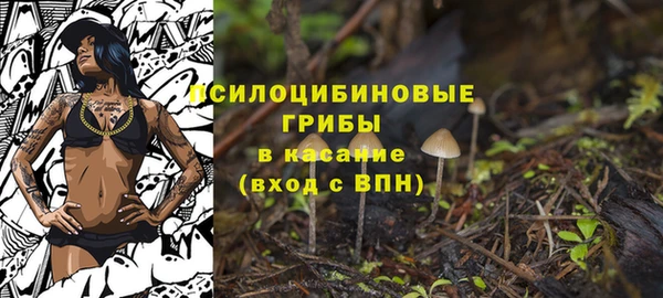 гашик Куйбышев