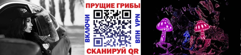 Псилоцибиновые грибы GOLDEN TEACHER  Купить где  Онега 